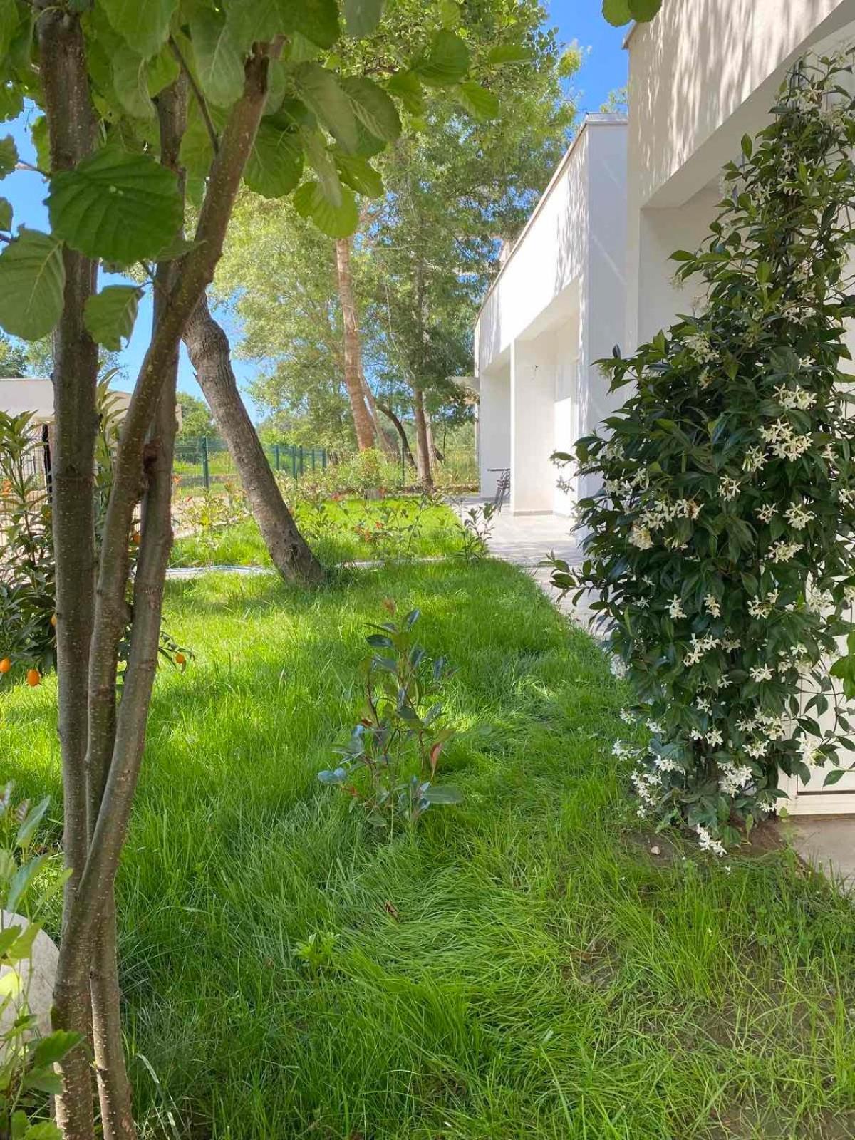 Hanna Apartment Ulcinj